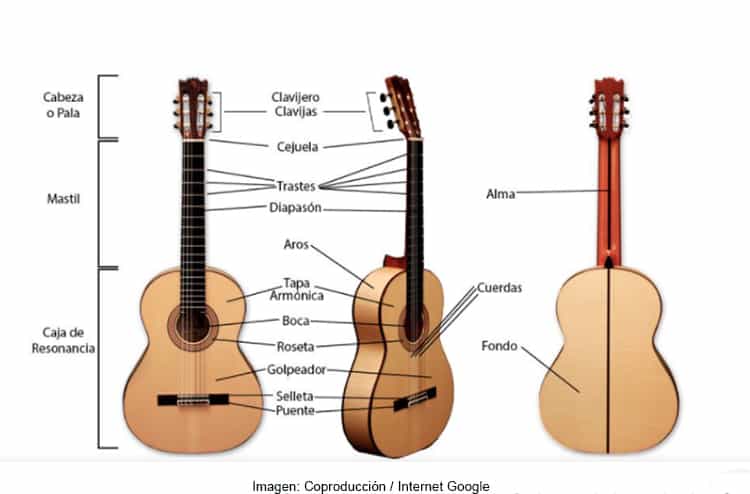 Cuáles son las partes de una guitarra